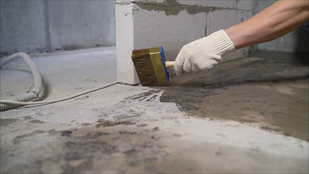 SJ Waterproofing Pros Crawl Space Encapsulation coverage map for Fremont, MI and surrounding area